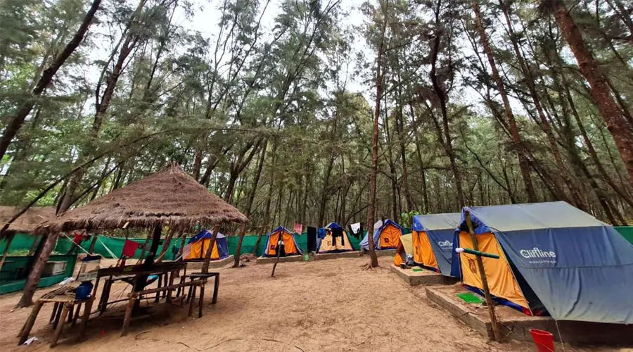 Camping In West Bengal